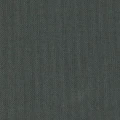 5950 Savanna płótno.jpg